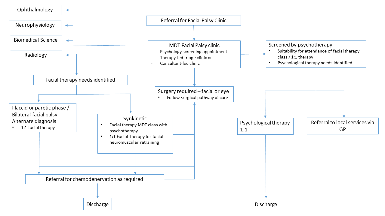 Multidisciplinary care for the effective management of patients with ...